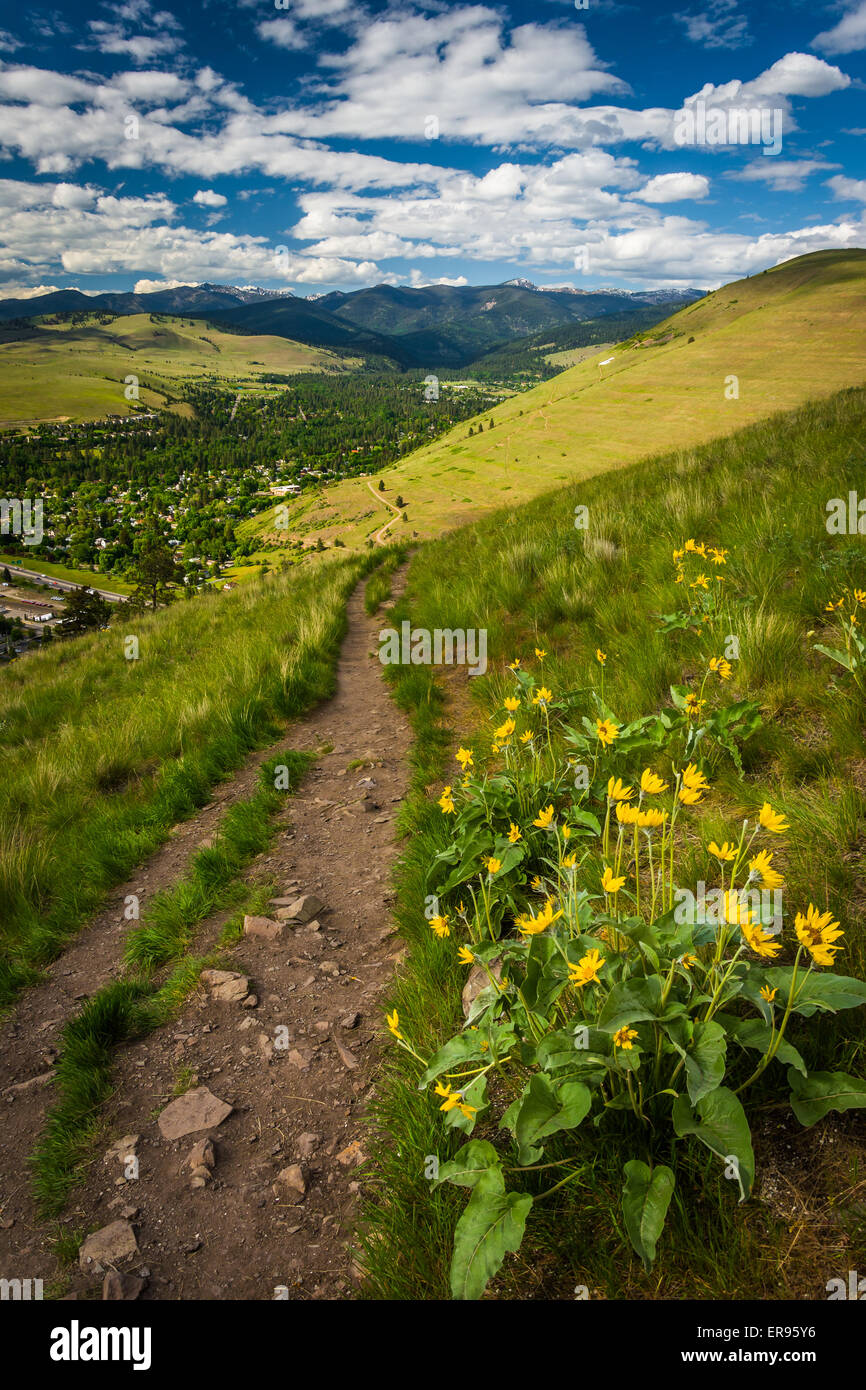 Trail and flowers on Mount Sentinel, in Missoula, Montana Stock Photo