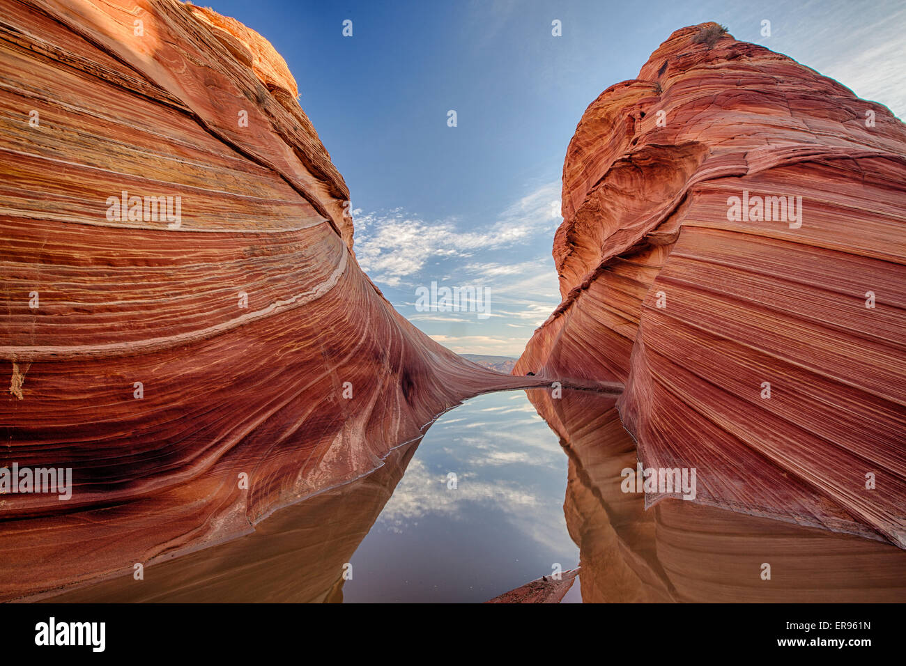 View of the Vermilion Cliffs National Monument reflected in a pool of