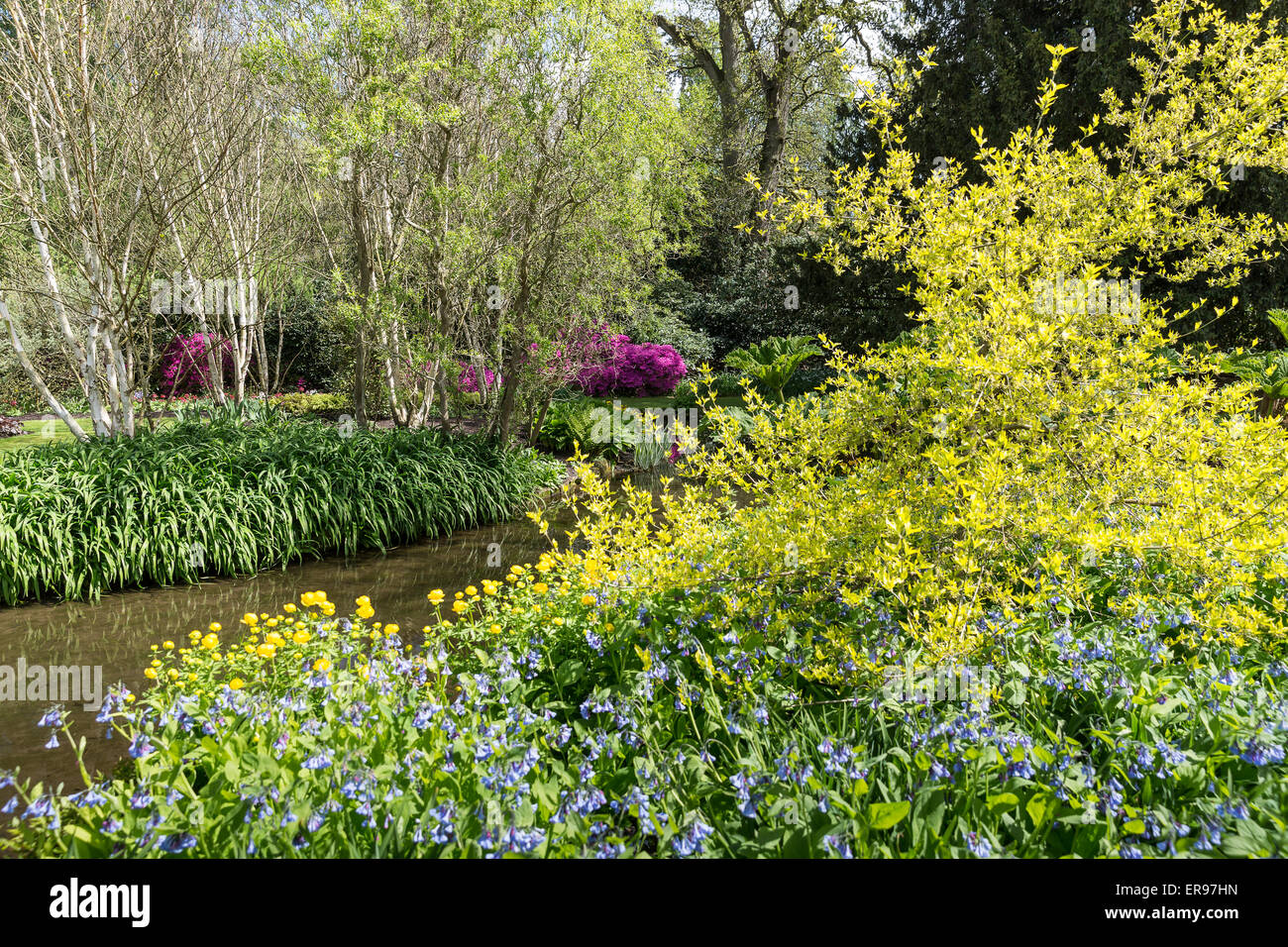 Longstock Park Water Garden, John Lewis Leckford Estate, Stockbridge