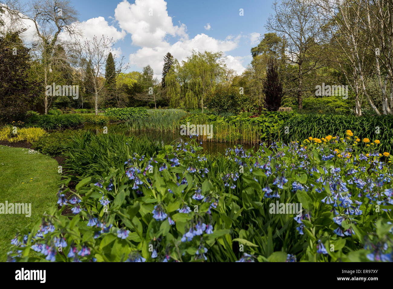 Longstock Park Water Garden, John Lewis Leckford Estate, Stockbridge