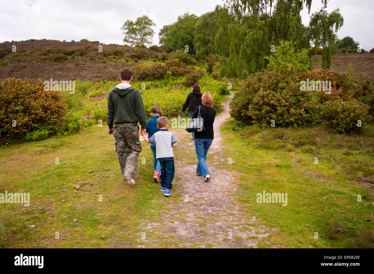 Rear View Of A family Walking Through The New Forest Stock Photo