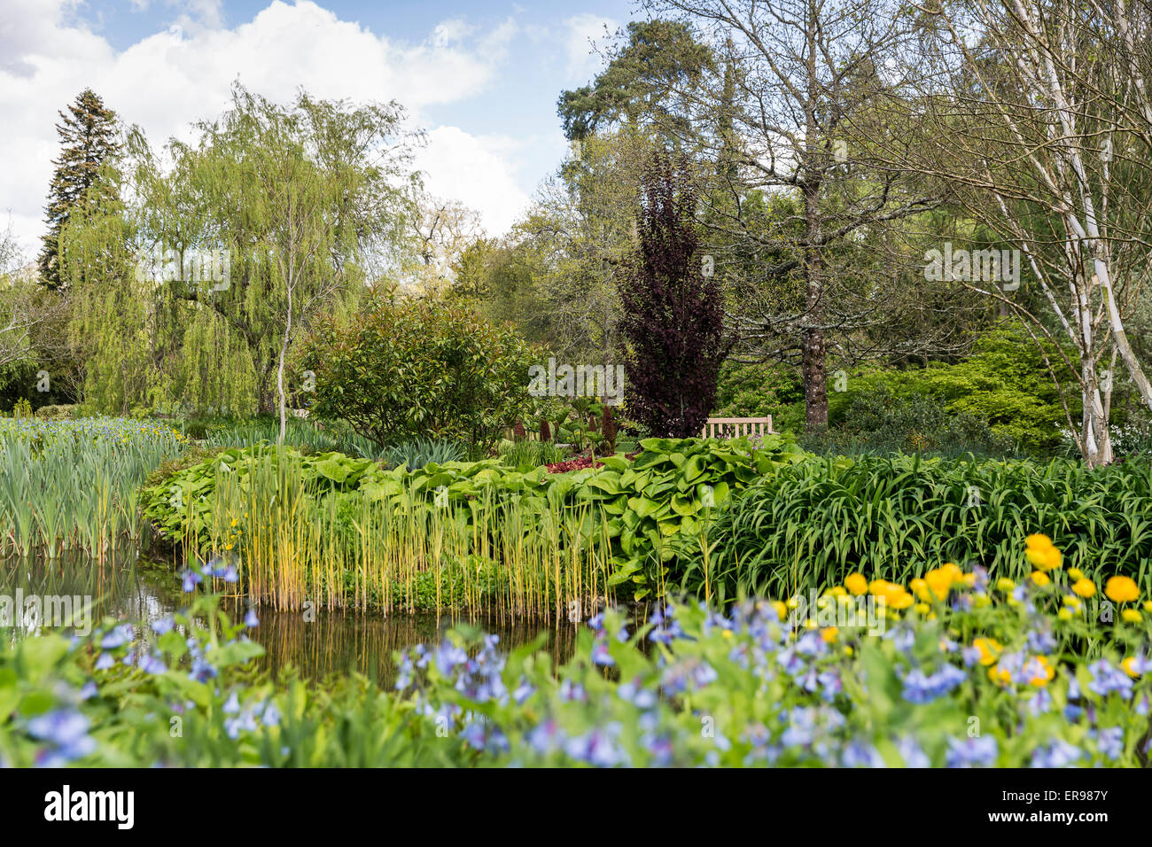 Longstock Park Water Garden, John Lewis Leckford Estate, Stockbridge
