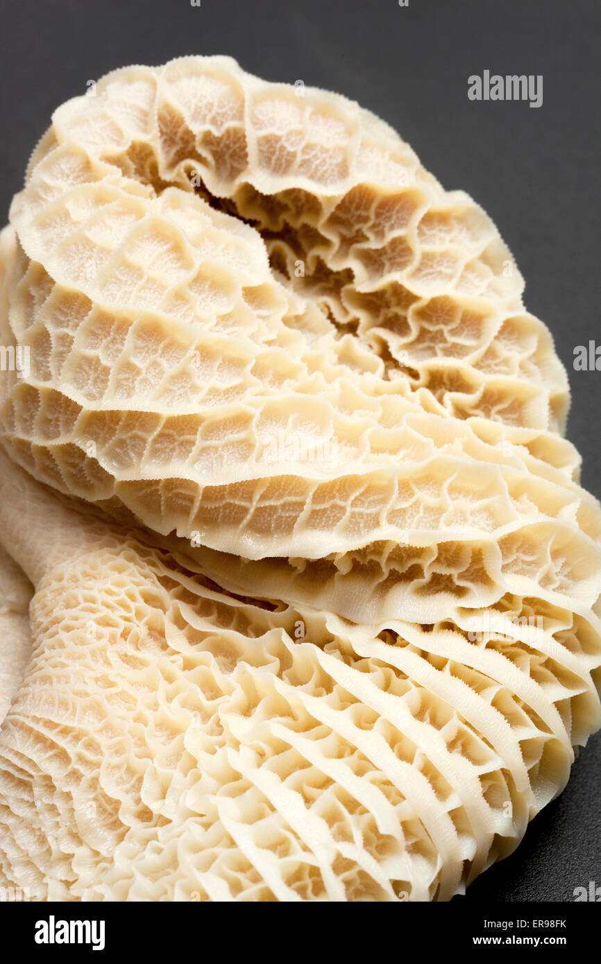 Tripe Stomach Meat Close Up Stock Photo Alamy
