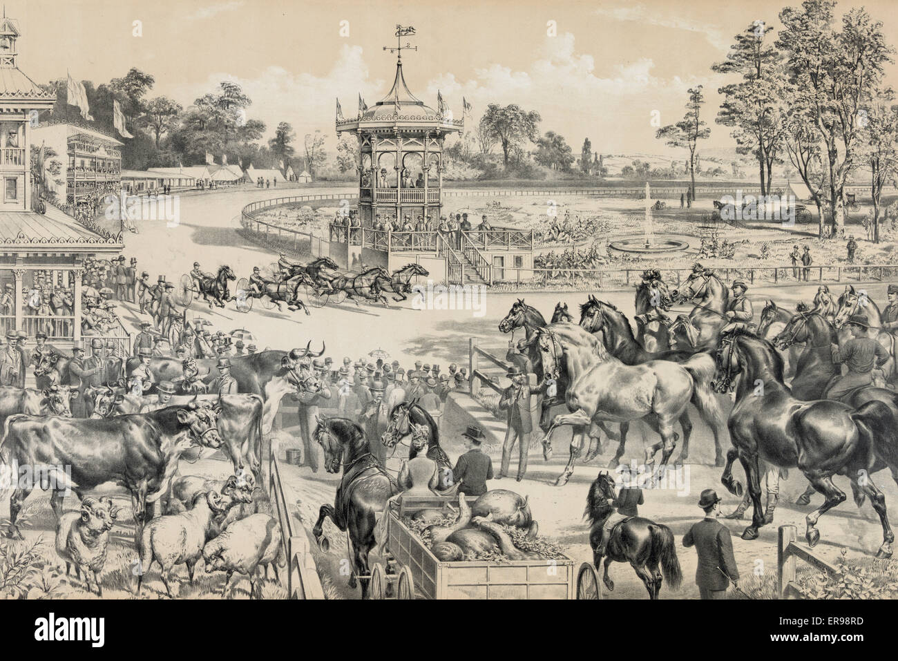 At the fair grounds Stock Photo Alamy