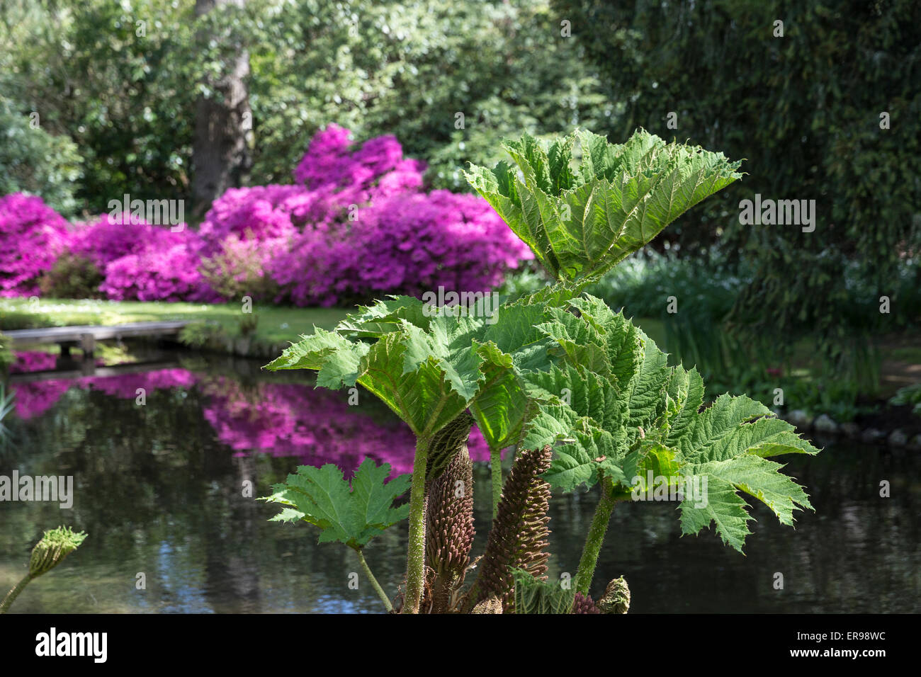 Longstock Park Water Garden, John Lewis Leckford Estate, Stockbridge