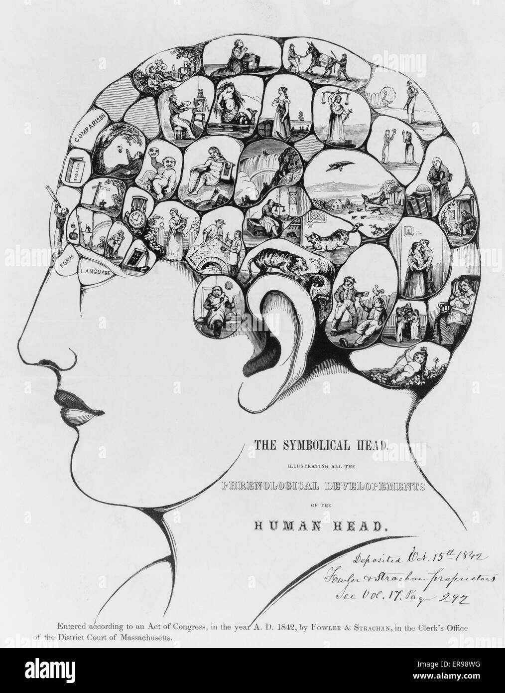 The Symbolical head, illustrating phrenology Stock Photo
