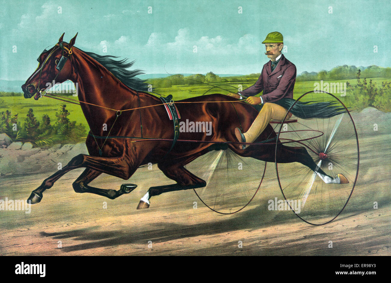 The champion Stallion Maxy Cobb by Happy Medium. Date 1885. Stock Photo