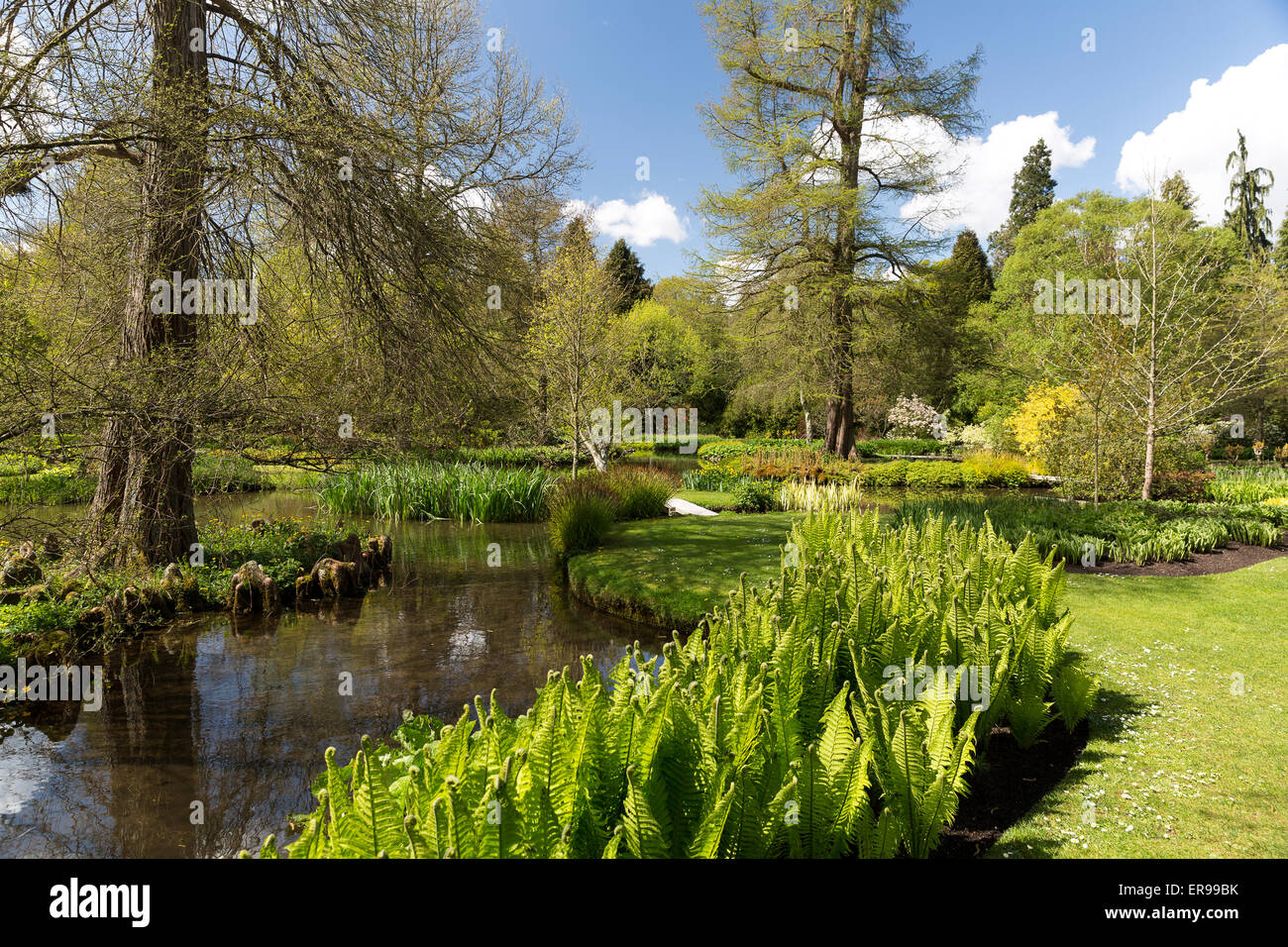 Longstock Park Water Garden, John Lewis Leckford Estate, Stockbridge