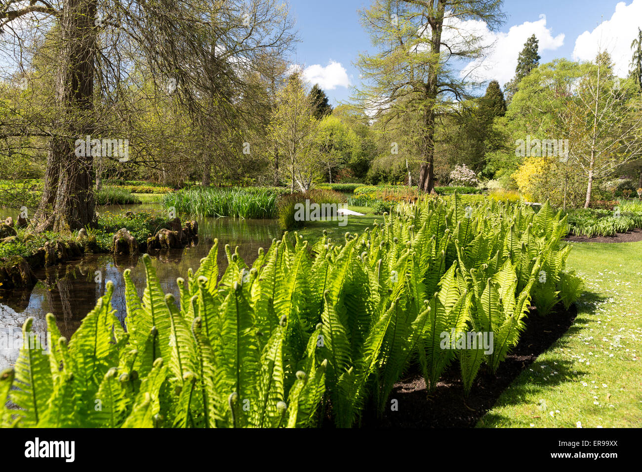 Longstock Park Water Garden, John Lewis Leckford Estate, Stockbridge