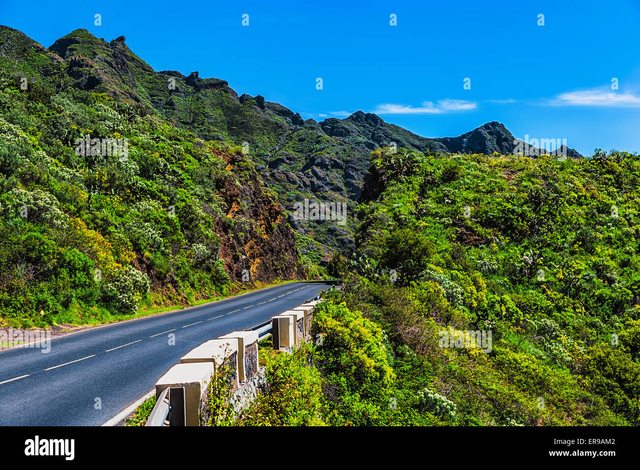 Asphalt road in green mountains or rocks with blue sky and clouds in Tenerife Canary island, Spain at spring or summer Stock Photo