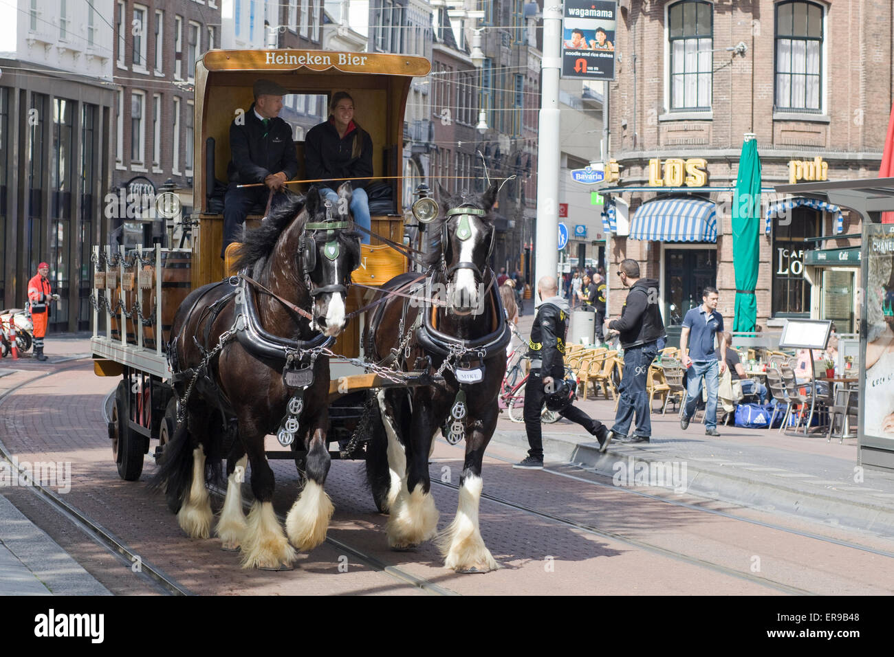 Heineken dray horses Pulling Barrels of Lager in Amsterdam Stock Photo