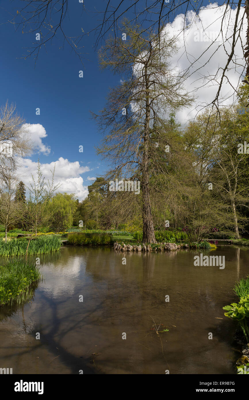 Longstock Park Water Garden, John Lewis Leckford Estate, Stockbridge