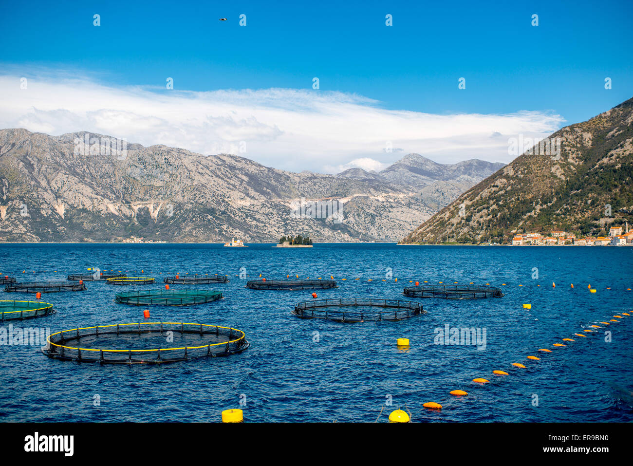 Fishing farm in Kotor bay Stock Photo