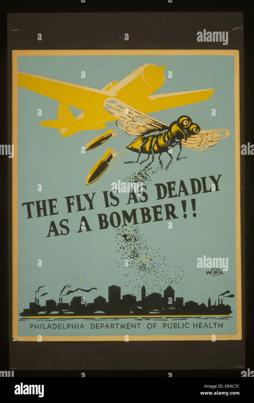 The fly is as deadly as a bomber!! Stock Photo