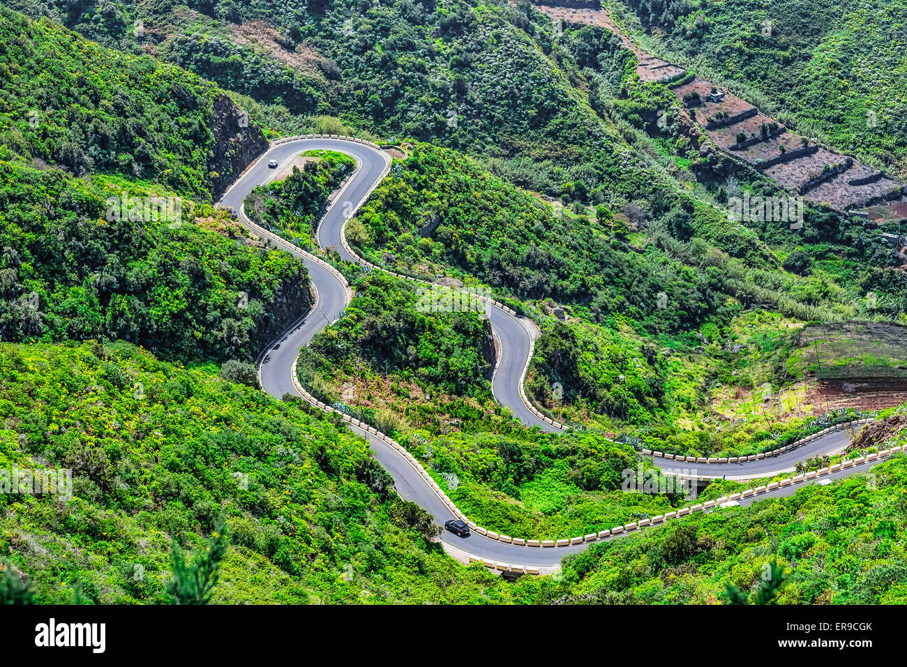Winding or serpantine road in green mountain valley in Tenerife Canary island, Spain at spring or summer Stock Photo