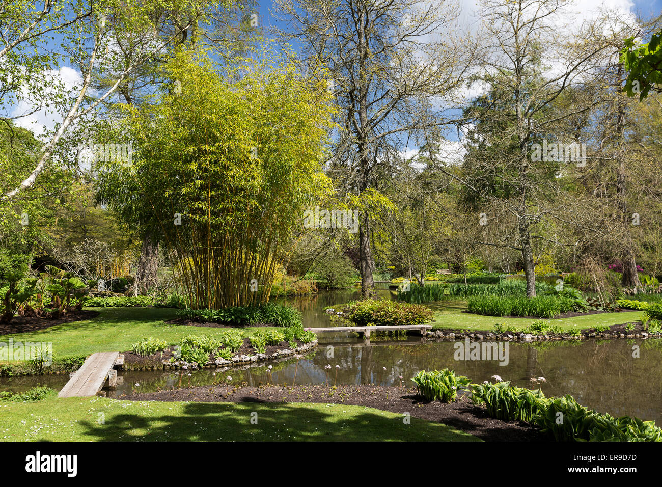 Longstock Park Water Garden, John Lewis Leckford Estate, Stockbridge