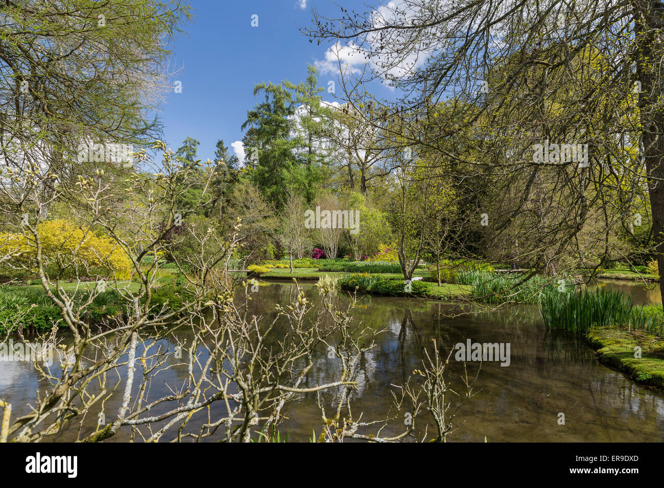 Longstock Park Water Garden, John Lewis Leckford Estate, Stockbridge