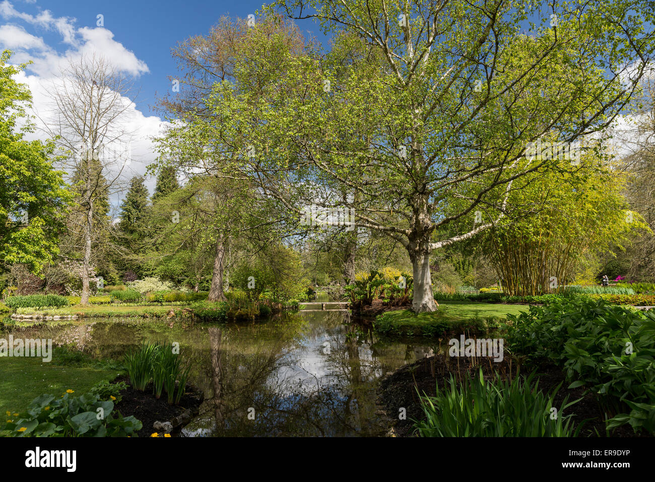 Longstock Park Water Garden, John Lewis Leckford Estate, Stockbridge