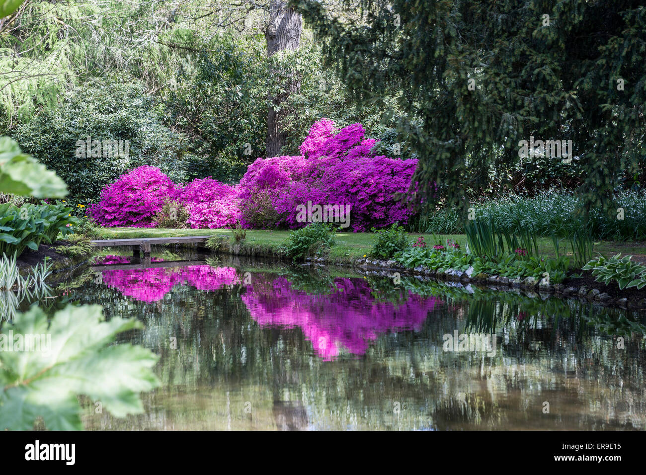 Longstock Park Water Garden, John Lewis Leckford Estate, Stockbridge