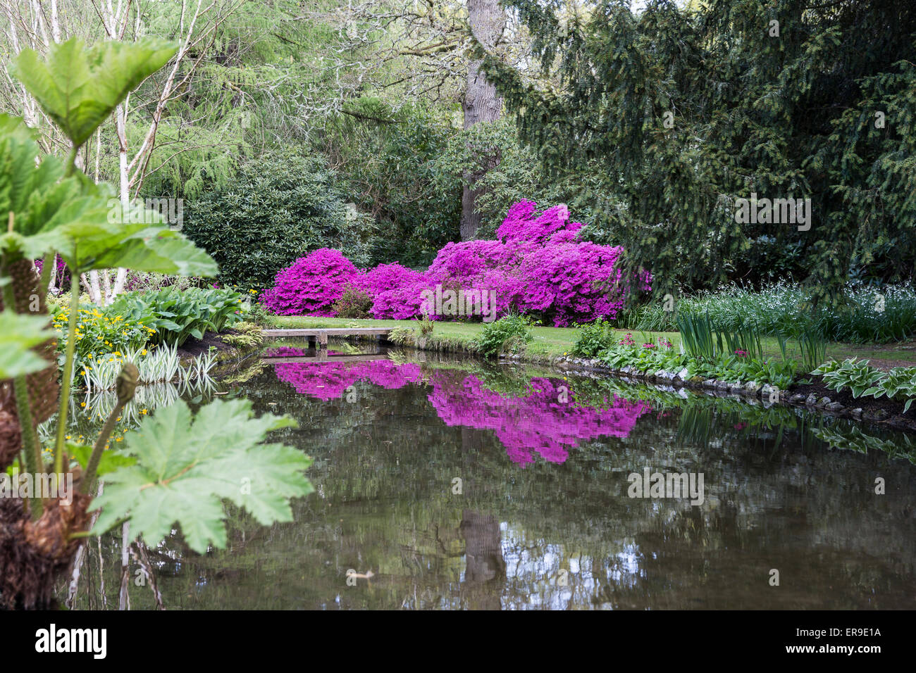 Longstock Park Water Garden, John Lewis Leckford Estate, Stockbridge