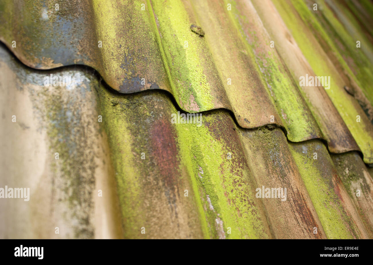 Corrugated iron green brown rust algae Stock Photo Alamy
