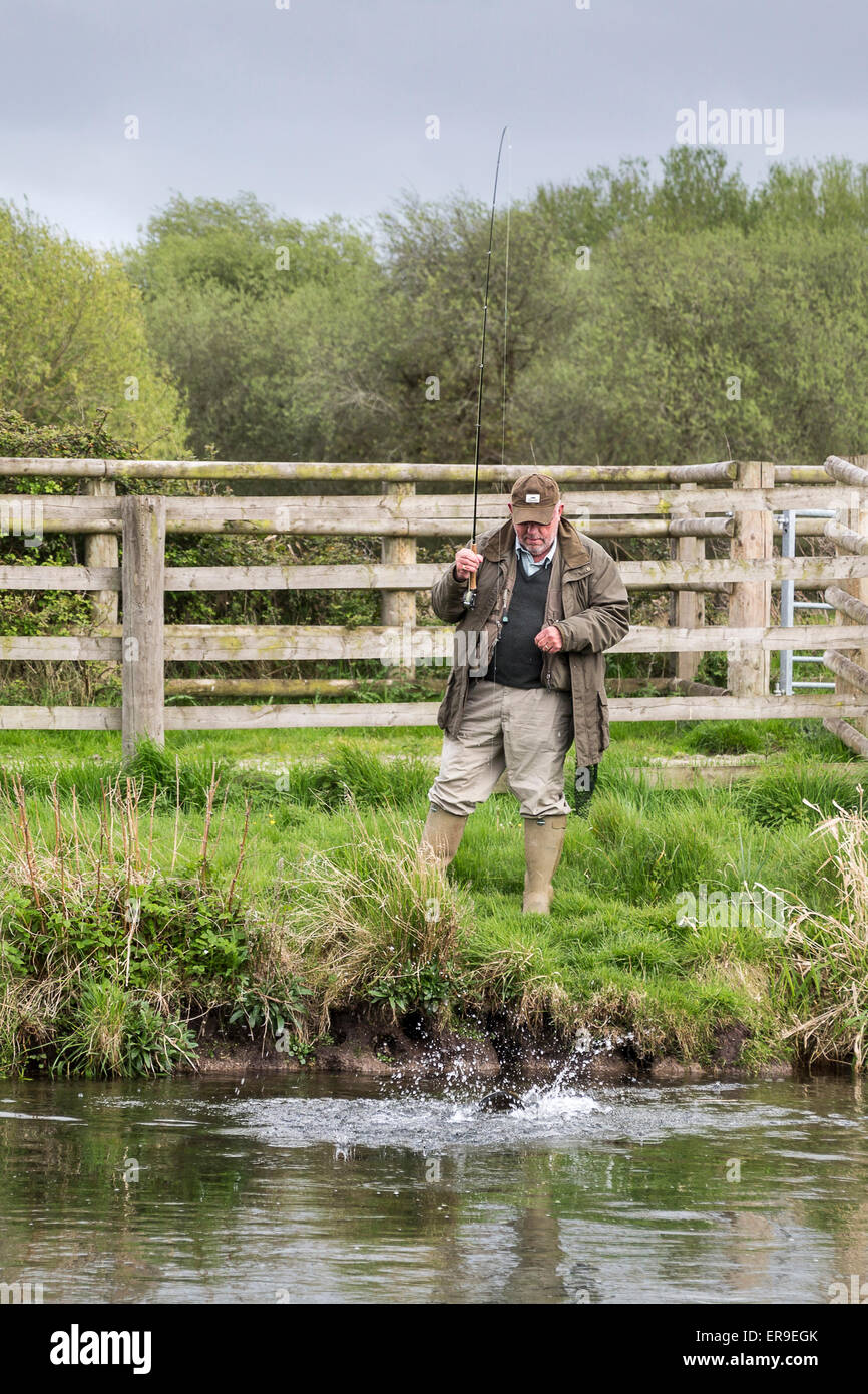 Test river trout hires stock photography and images Alamy