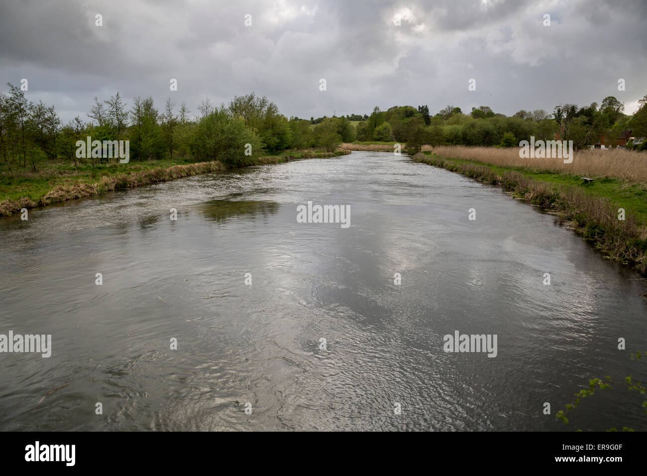 Leckford hi-res stock photography and images - Alamy