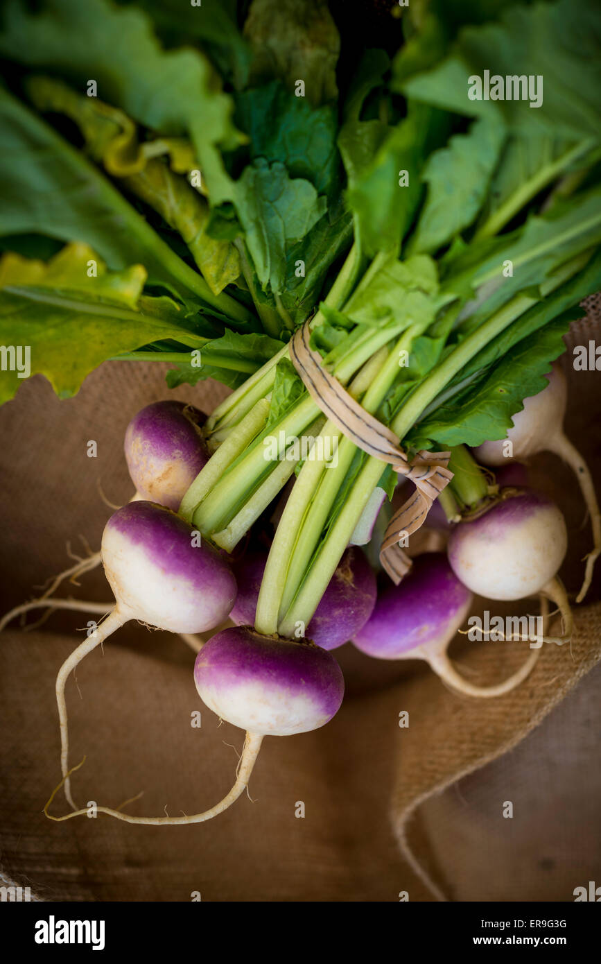 Turnips, close up. Stock Photo