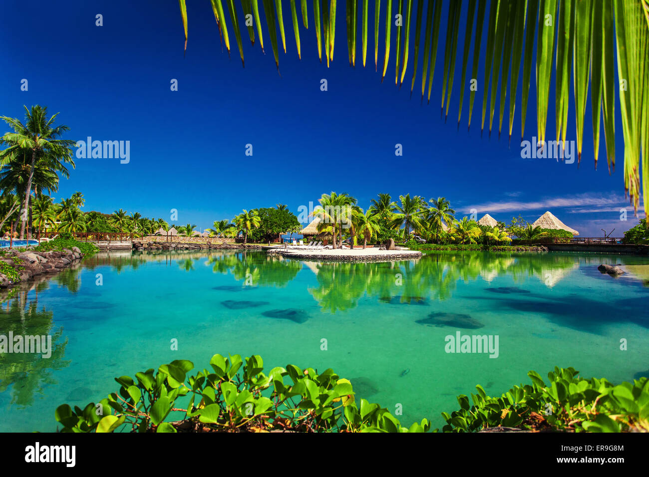 Tropical resort with a green lagoon and palm trees around the frame Stock Photo