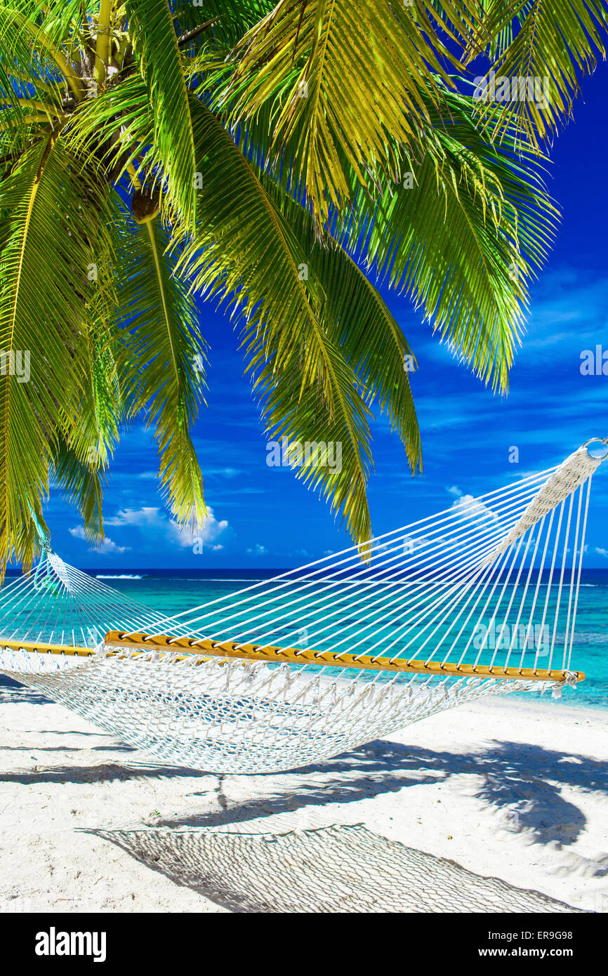 White hammock on the beach between palm trees overlooking ocean Stock Photo
