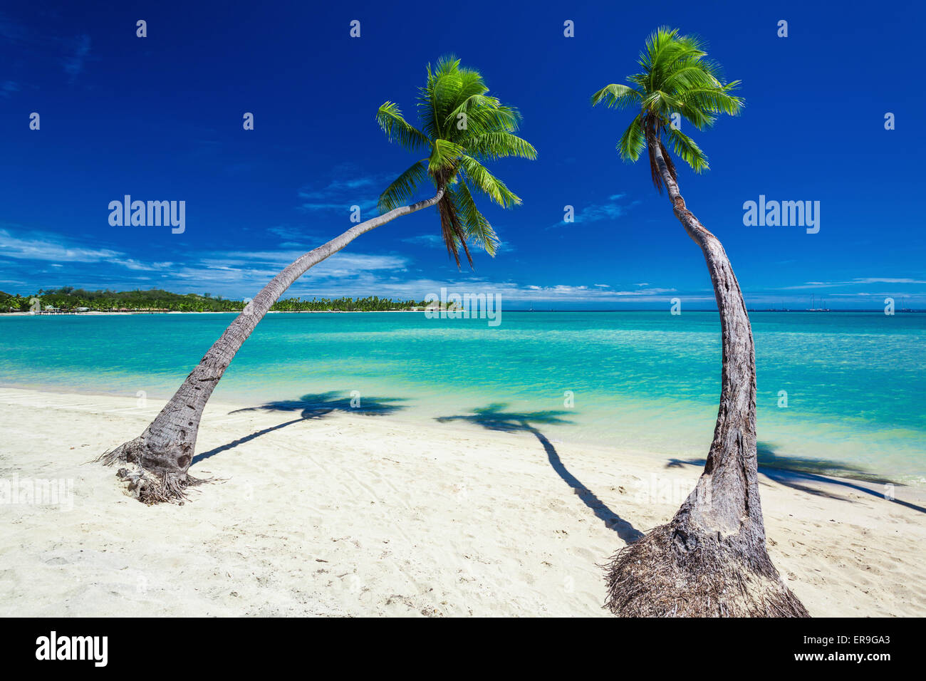 Palm trees hanging over stunning lagoon with blue sky in Fiji Stock Photo