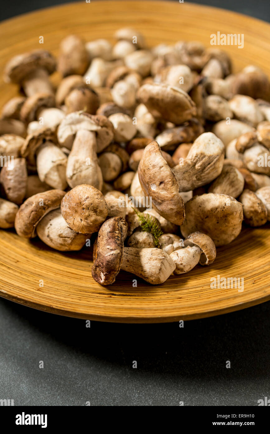 Mushrooms in a bowl, still life. Stock Photo