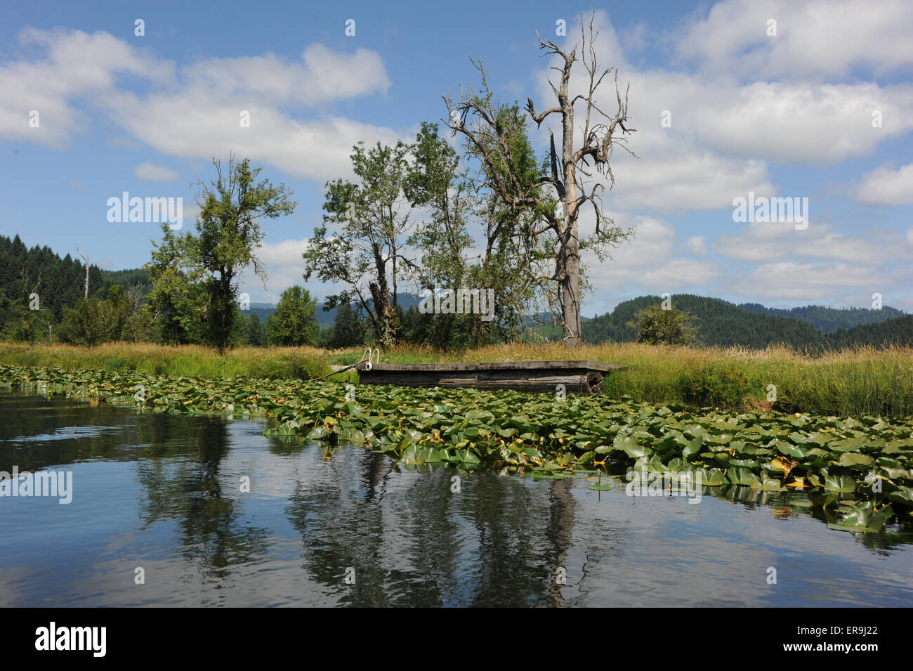 Triangle Lake, Lane County, Oregon, USA  - Lake Scenes, Clear Day, White Clouds Stock Photo