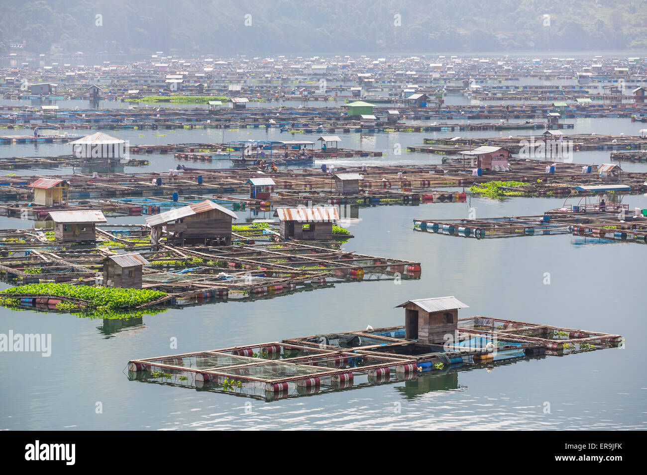 Traditional fish cages on the lake Toba, North Sumatra, Indonesia Stock Photo