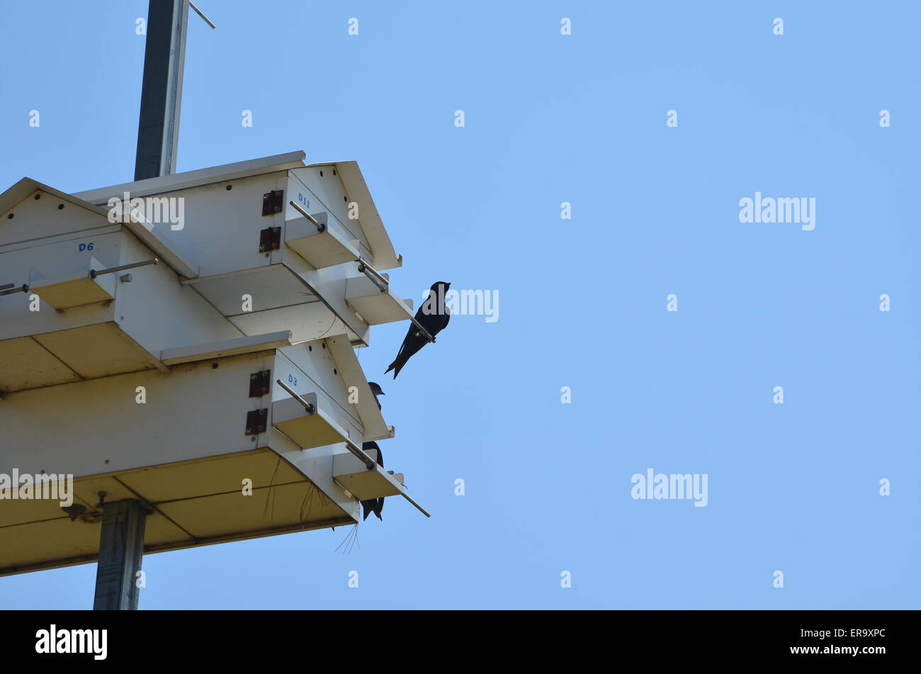 Large bird house Stock Photo