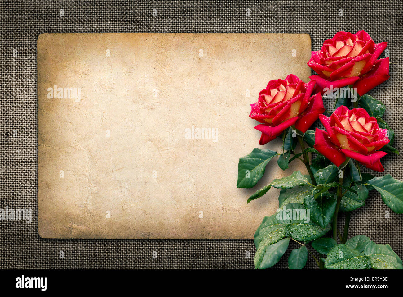 Card for invitation or congratulation with red roses in vintage style ...