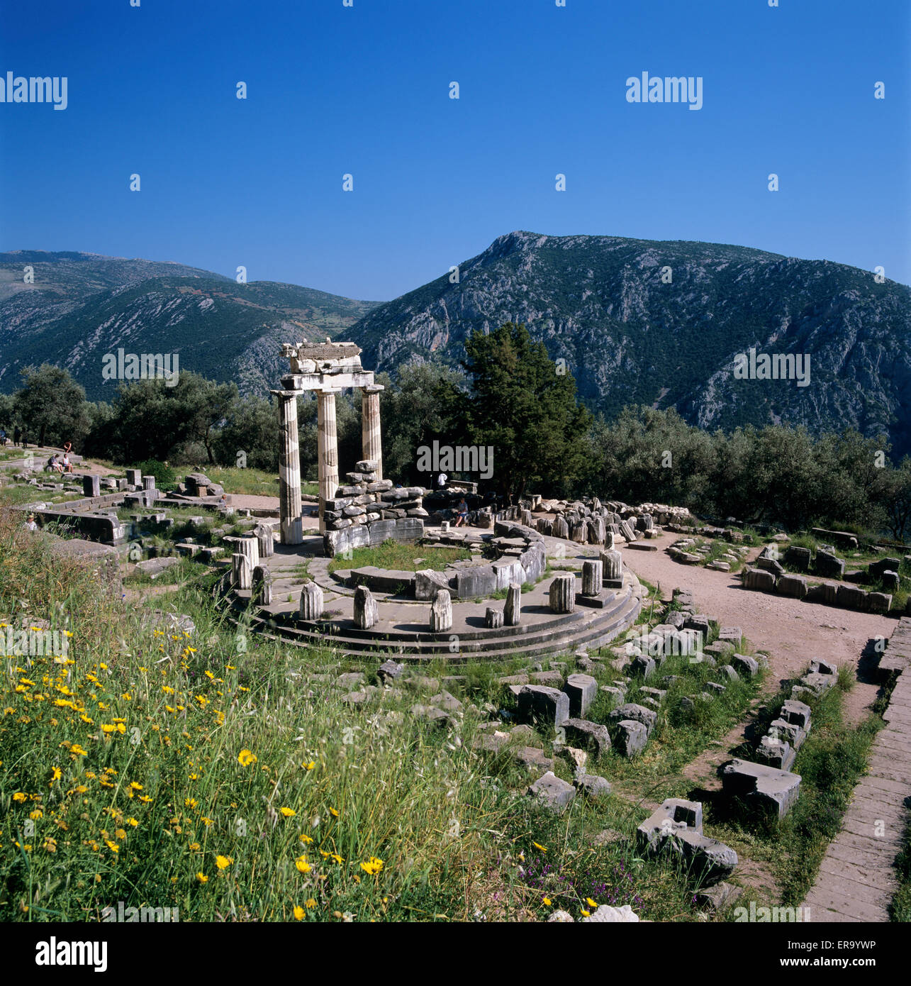 The Tholos below Mount Parnassus, Delphi, Phocis, Central Greece, Greece, Europe Stock Photo