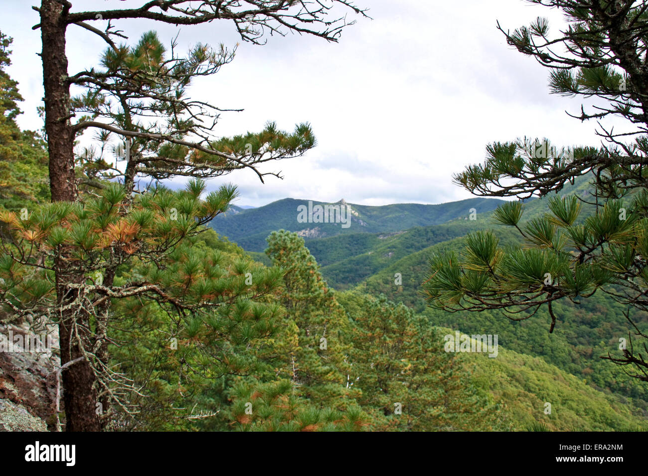 The mountain peaks are covered with autumnal forest. Stock Photo
