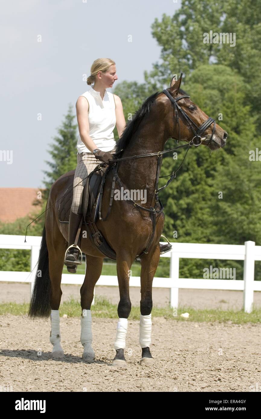 horsewoman Stock Photo