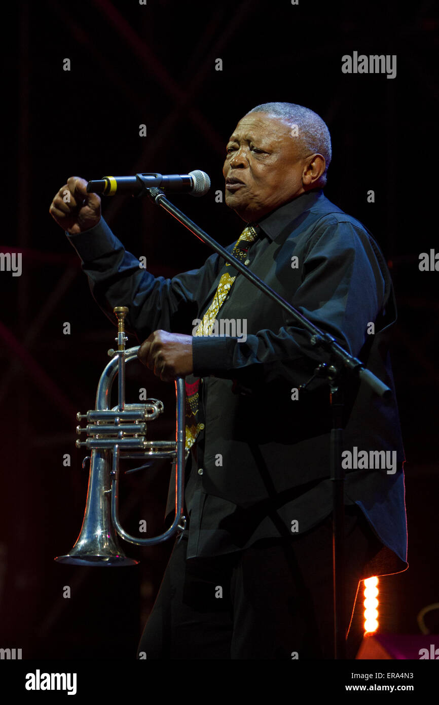 South african trumpet player hugh hires stock photography and images