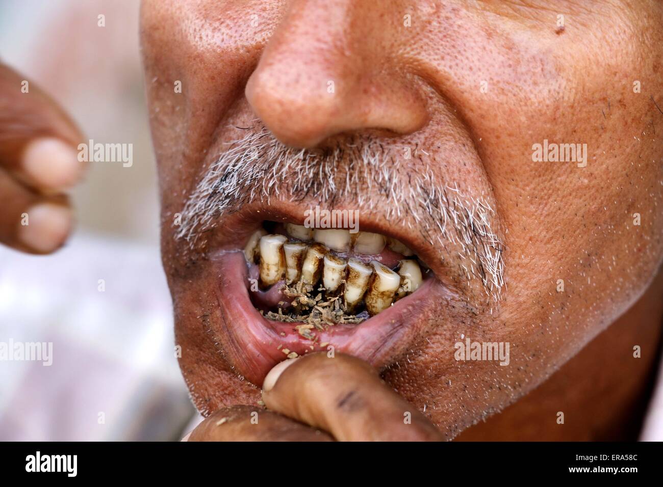 cup plug tobacco Tobacco Products