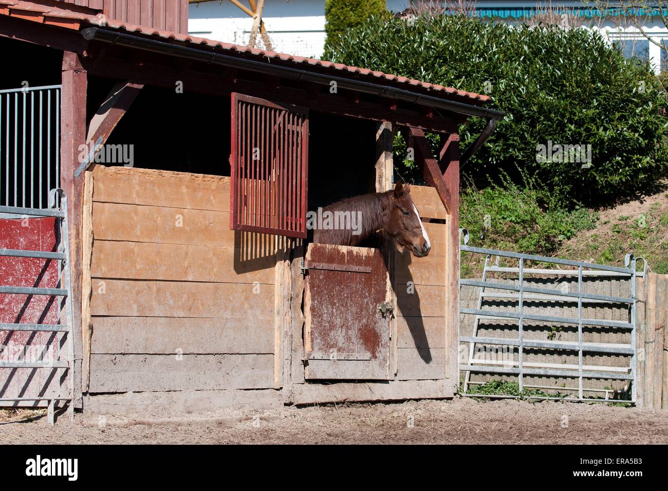 Horsebox hires stock photography and images Alamy