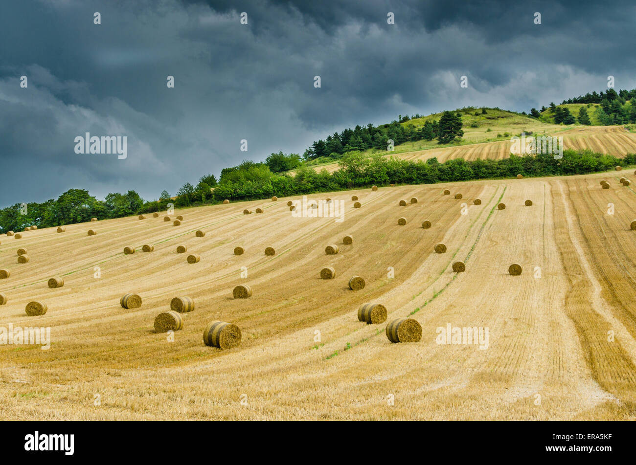 Hilly landscape rural landscape with hay bales Stock Photo - Alamy