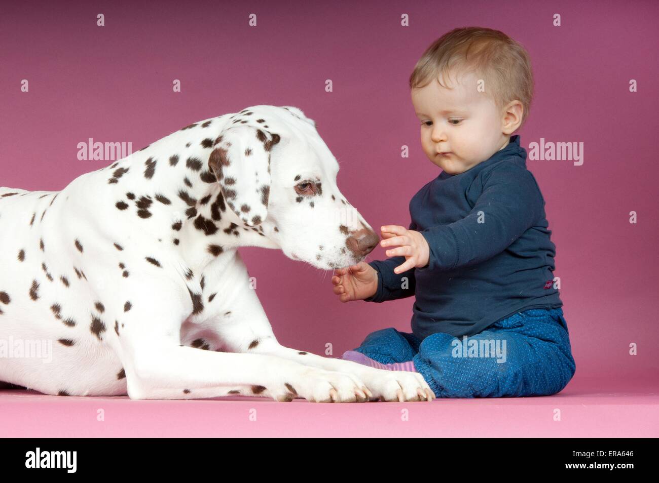 Dalmatian and baby Stock Photo