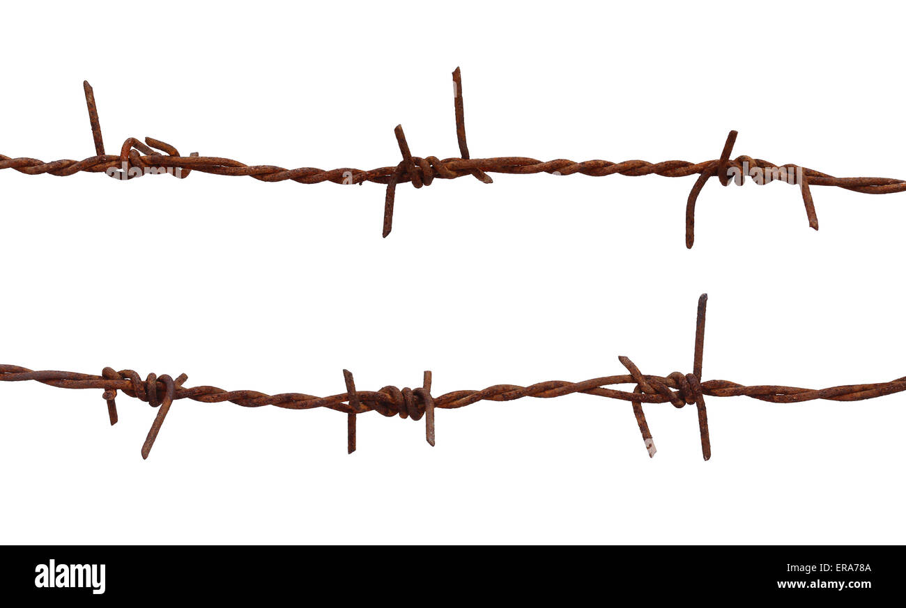 Rusty barbed wire over white background Stock Photo