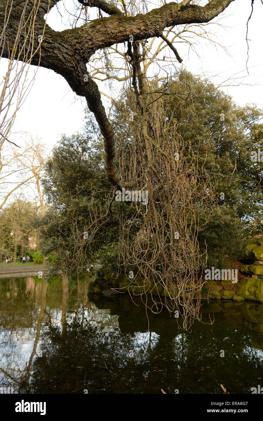 Pond in Dublin's St Stephen's Green Stock Photo Alamy