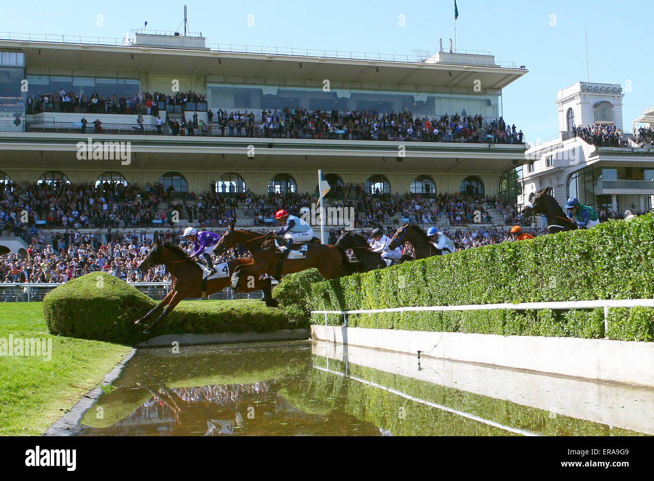 Jacques RICOU - 17.05.2015 - Grand Steeple Chase de Paris .Photo : Dyga ...
