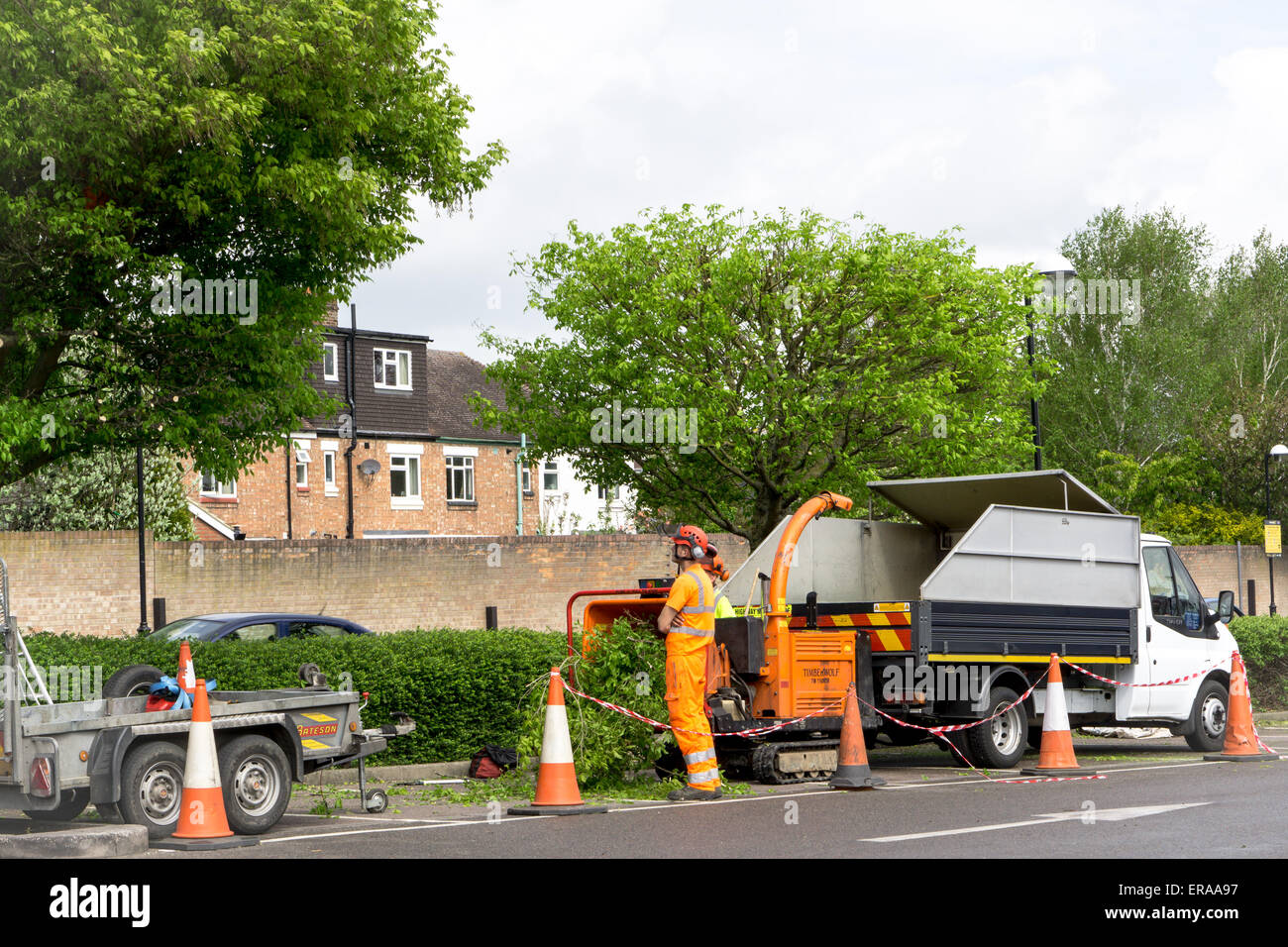 CAMBRIDGE, ENGLAND - 7 May 2015: Tree Surgeons at work in public car park in Cambridge, England Stock Photo