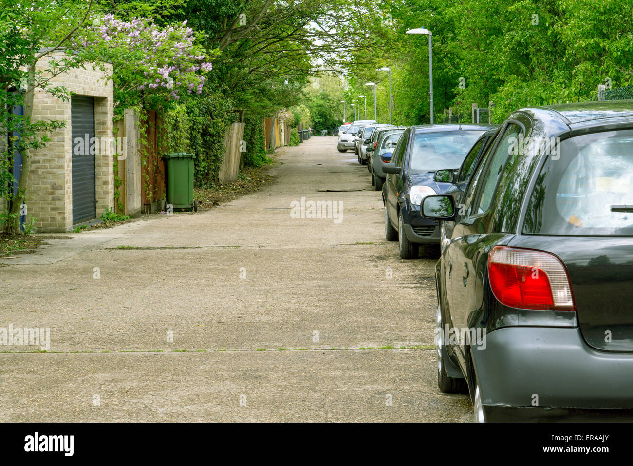 Row of parked cars in a street in Cambridge, England Stock Photo