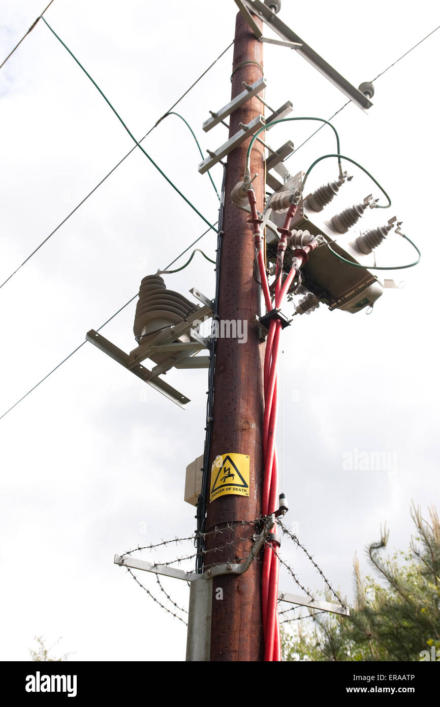 Overhead electricity wires supported by pole Stock Photo Alamy